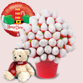 Merry Christmas Fruit Bouquet-Package